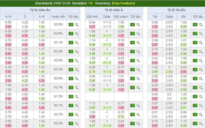 Chuyên gia bong99 tip kèo Giải VĐQG Iceland - Hafnarfjordur FH V Stjarnan Gardab Nhan-dinh-ngay-1-7-sandefjord-vs-rosenborg-ac-mong-cua-chu-nha-b9-4